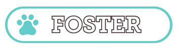 Learn about becoming an ABRT Foster!