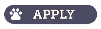 Apply to be an ABRT volunteer today!