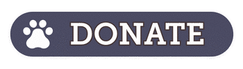 Donate