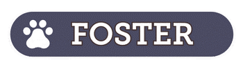 Foster
