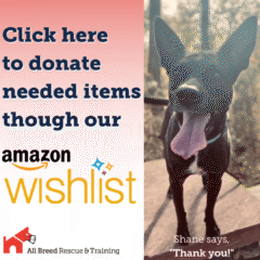 Donate through our Amazon Wishlist!