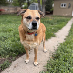 Max